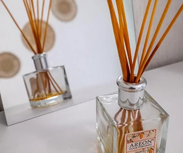 #maison㊶ - A Vibrant, Urban *