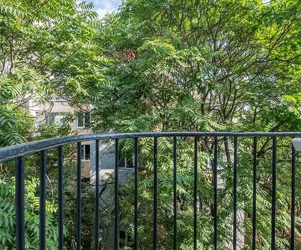 #maison㊶ - A Vibrant, Urban